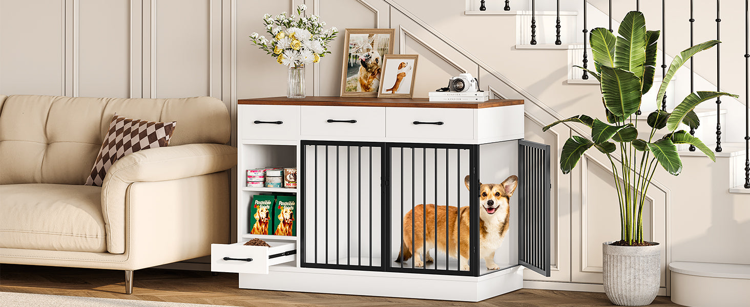 Dog Supplies