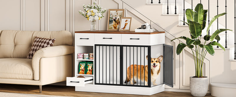 Dog Supplies