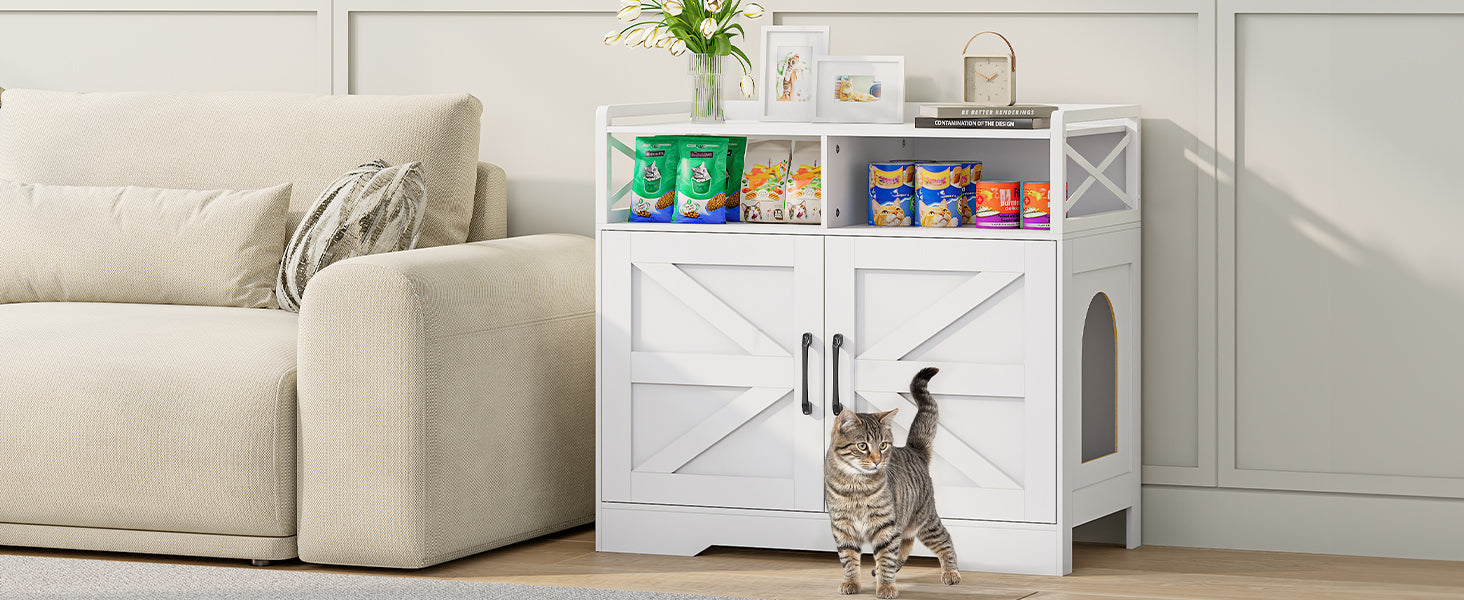 Cat Supplies